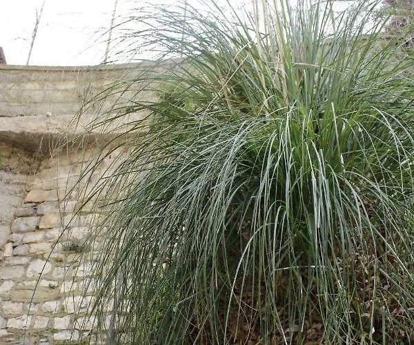 Pensionat Punto Relax 3*